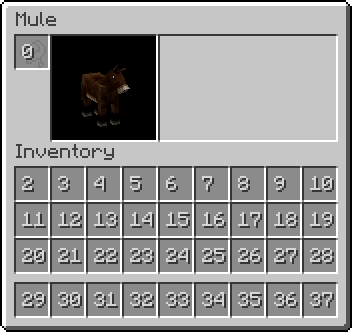 Mule-unchested-slots.png